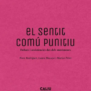 Llibre El sentit comú punitiu
